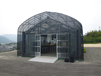 胡蝶蘭専用のハウス